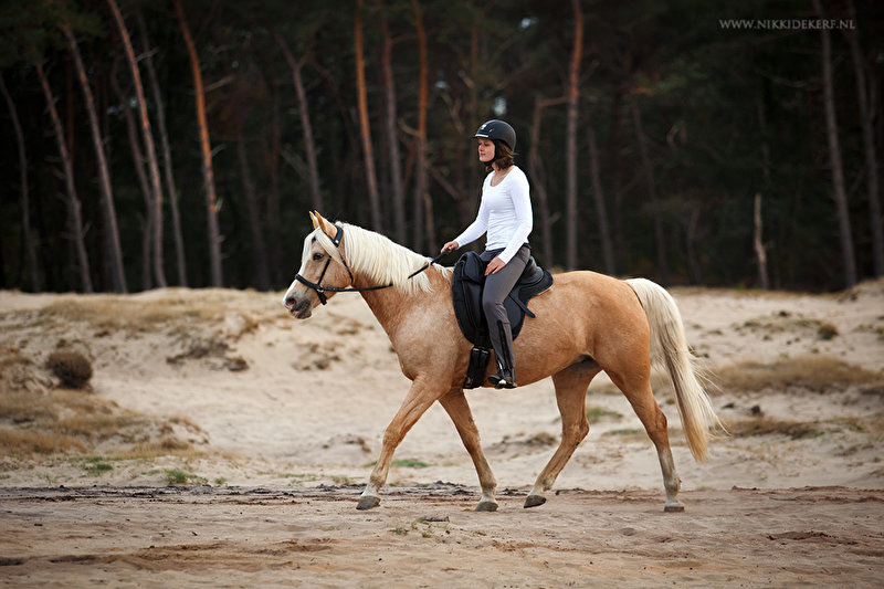 Merlyn - kurzer Dressursattel Leder