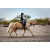 Merlyn - short dressage saddle leather