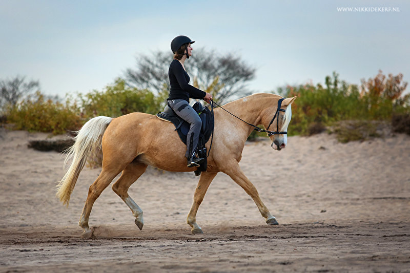 Merlyn - kurzer Dressursattel Leder
