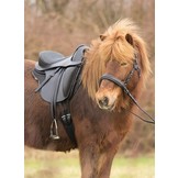 Merlyn - kurzer Dressursattel Leder