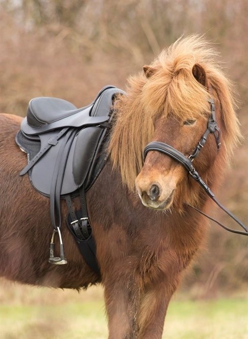 Merlyn - kurzer Dressursattel Leder