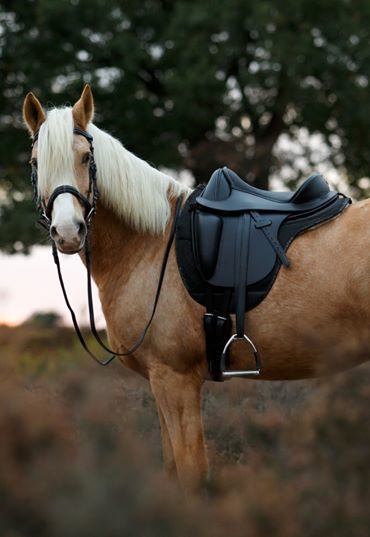 Merlyn - short dressage saddle leather