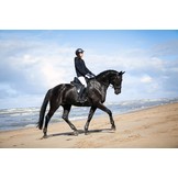 Wellington - dressuurzadel leer