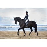 Wellington - dressuurzadel leer