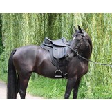 Wellington - dressage saddle leather