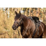 Happy Valley - Lamsvelzadel flexibel