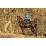 Happy Valley - Lammfellsattel flexibel