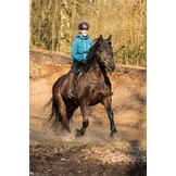 Happy Valley - Lammfellsattel flexibel