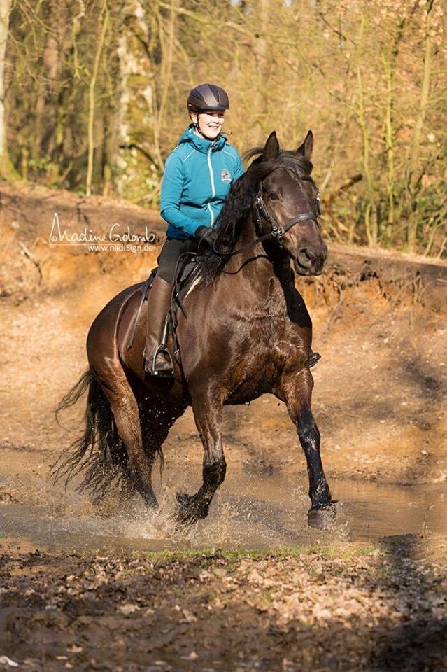 Happy Valley - Lambskin saddle flexible