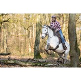 Lazy Mountain - Lamsvelzadel leer