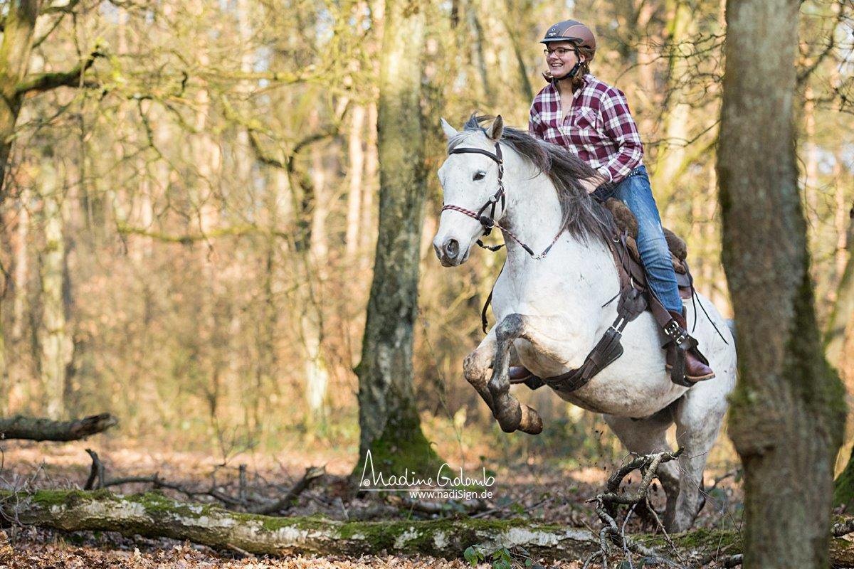 Lazy Mountain - Lamsvelzadel leer