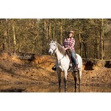 Lazy Mountain - Lammfellsattel Leder