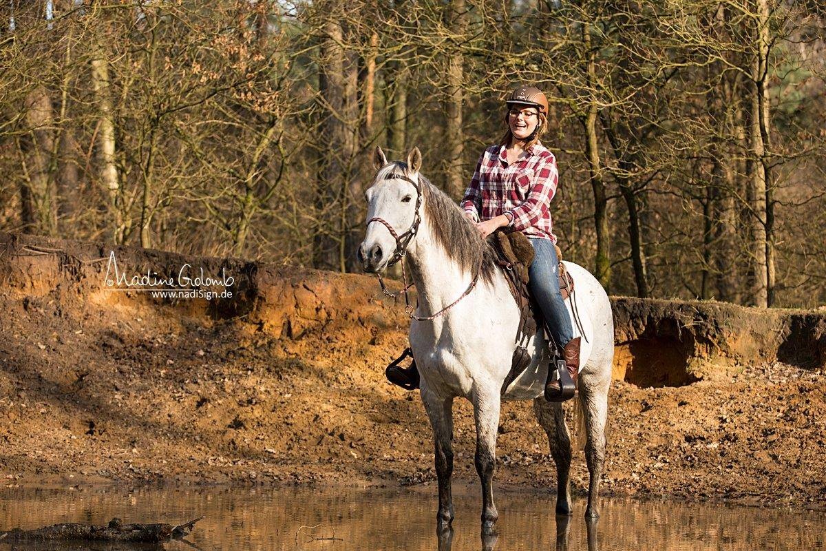 Lazy Mountain - Lammfellsattel Leder