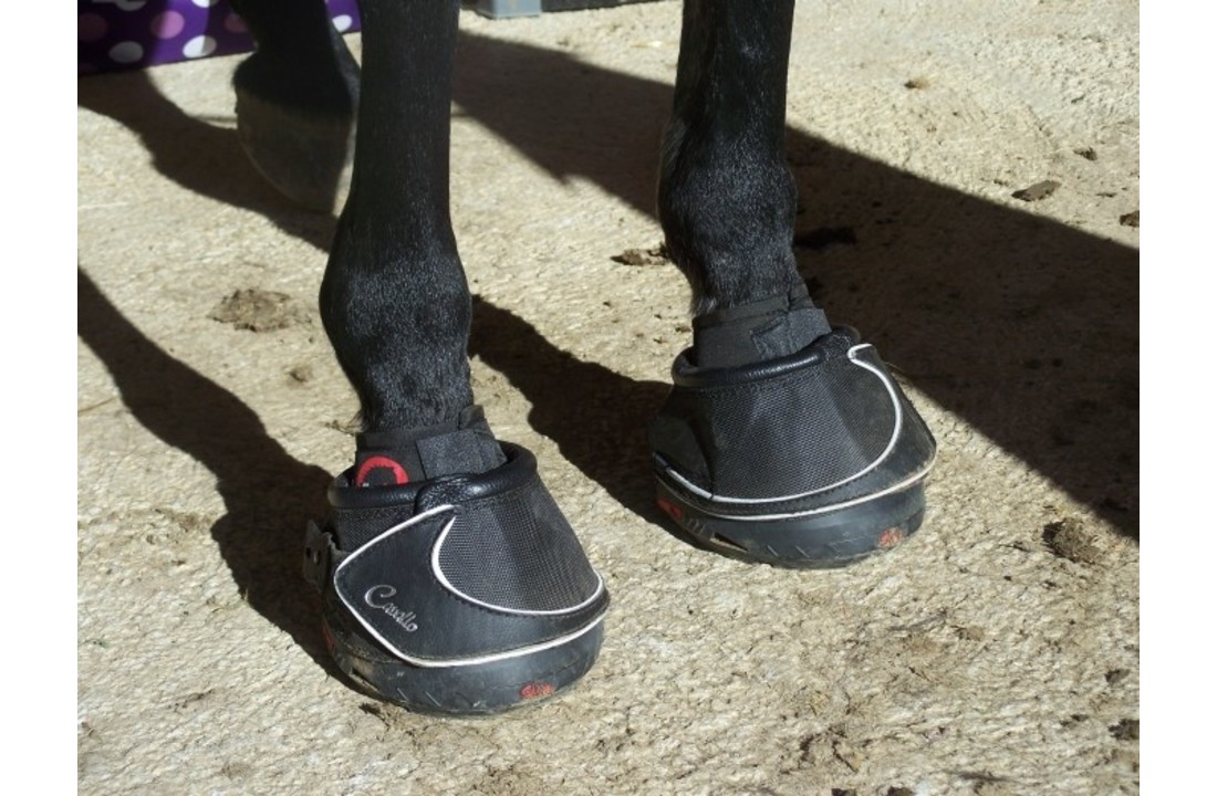 Pastern Wraps, omslagbandages voor gebruik bij hoefschoenen