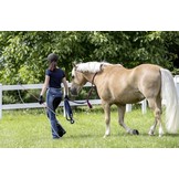 Carrotstick met string 1,2m licht gewicht