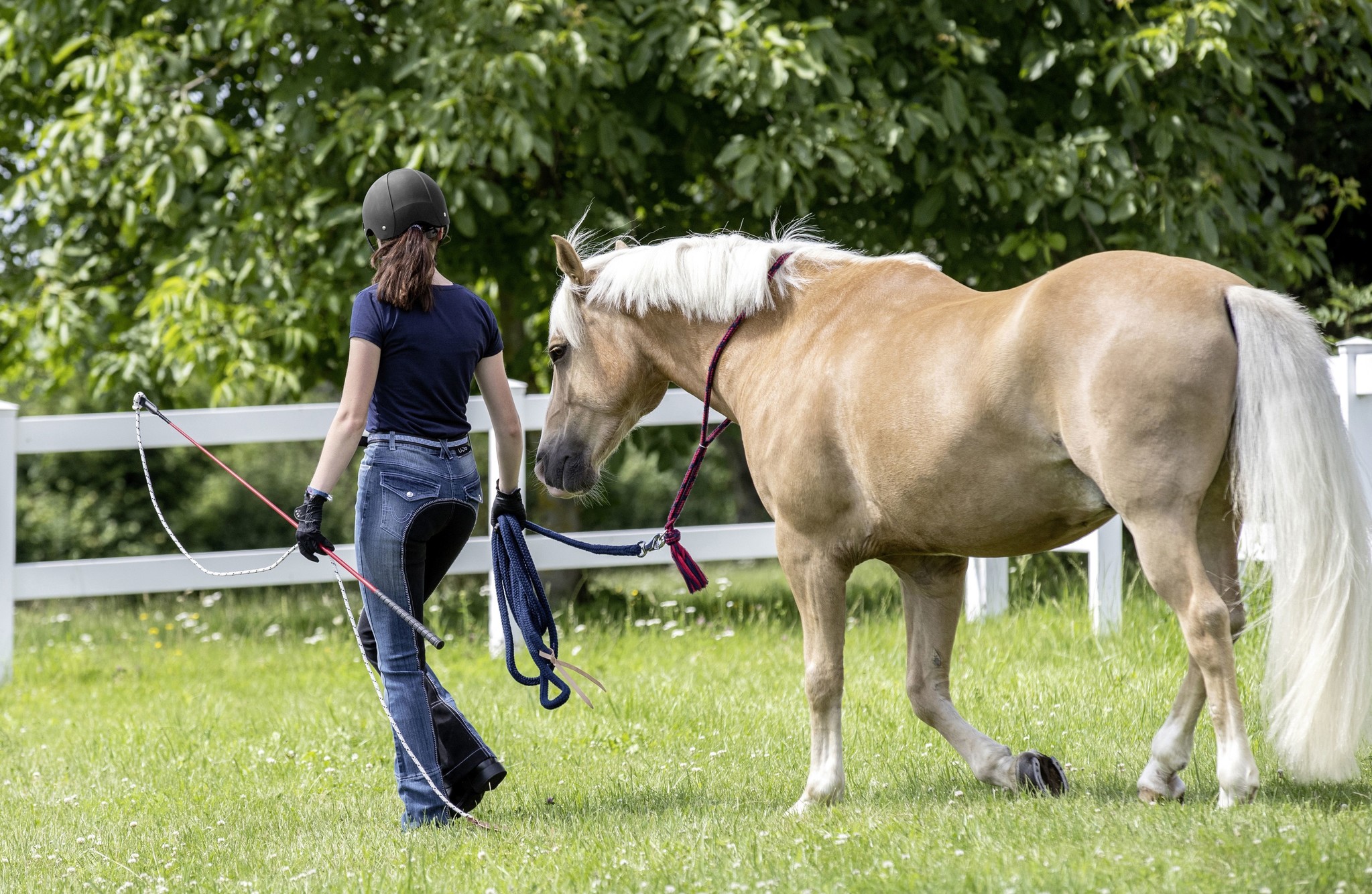 Karottenstift mit Schnur 1,2 m geringes Gewicht