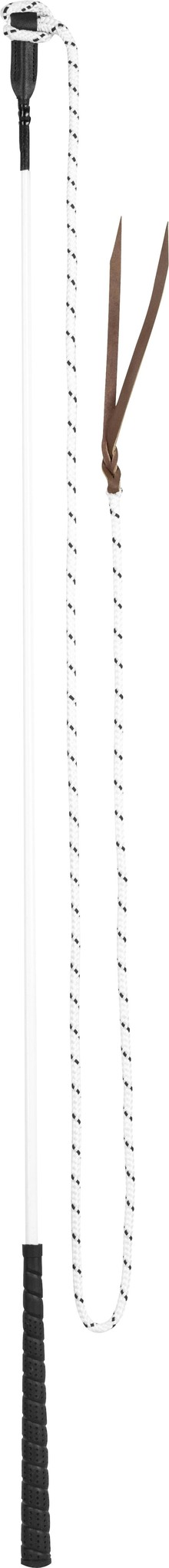 Carrotstick met string 1,2m licht gewicht