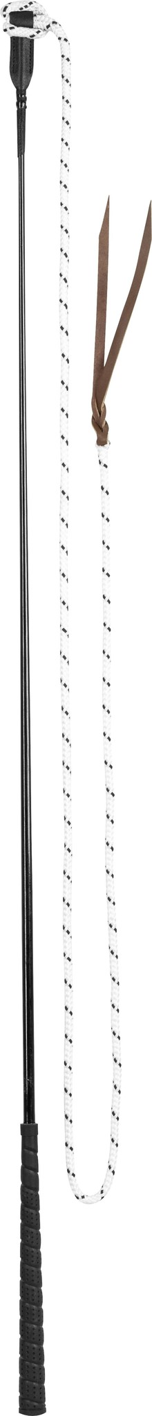 Carrotstick met string 1,2m licht gewicht