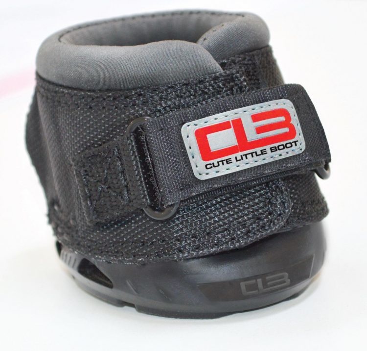 Cute Little hoof boot for shet or mini horse