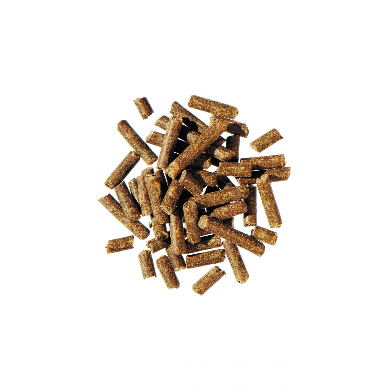 Bierhefe Pur brewer's yeast probiotics horse feed