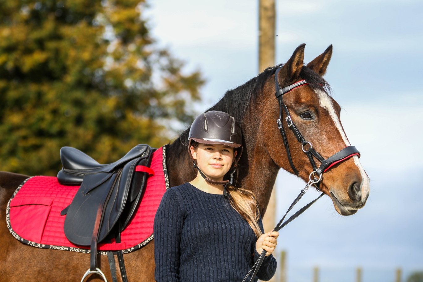FRA Unica pad and / or treeless saddle pad.