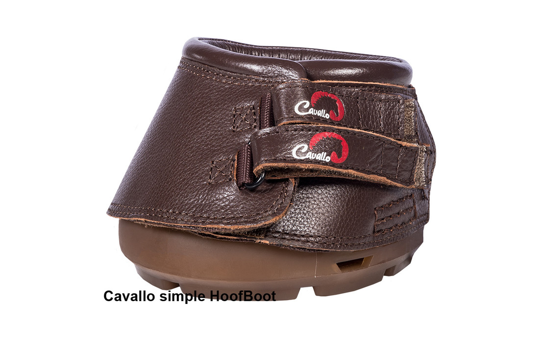 Simple hoefschoenen, veelzijdige, makkelijke hoefschoen