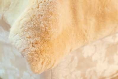 Lambskin bedspread comfort 30mm soft