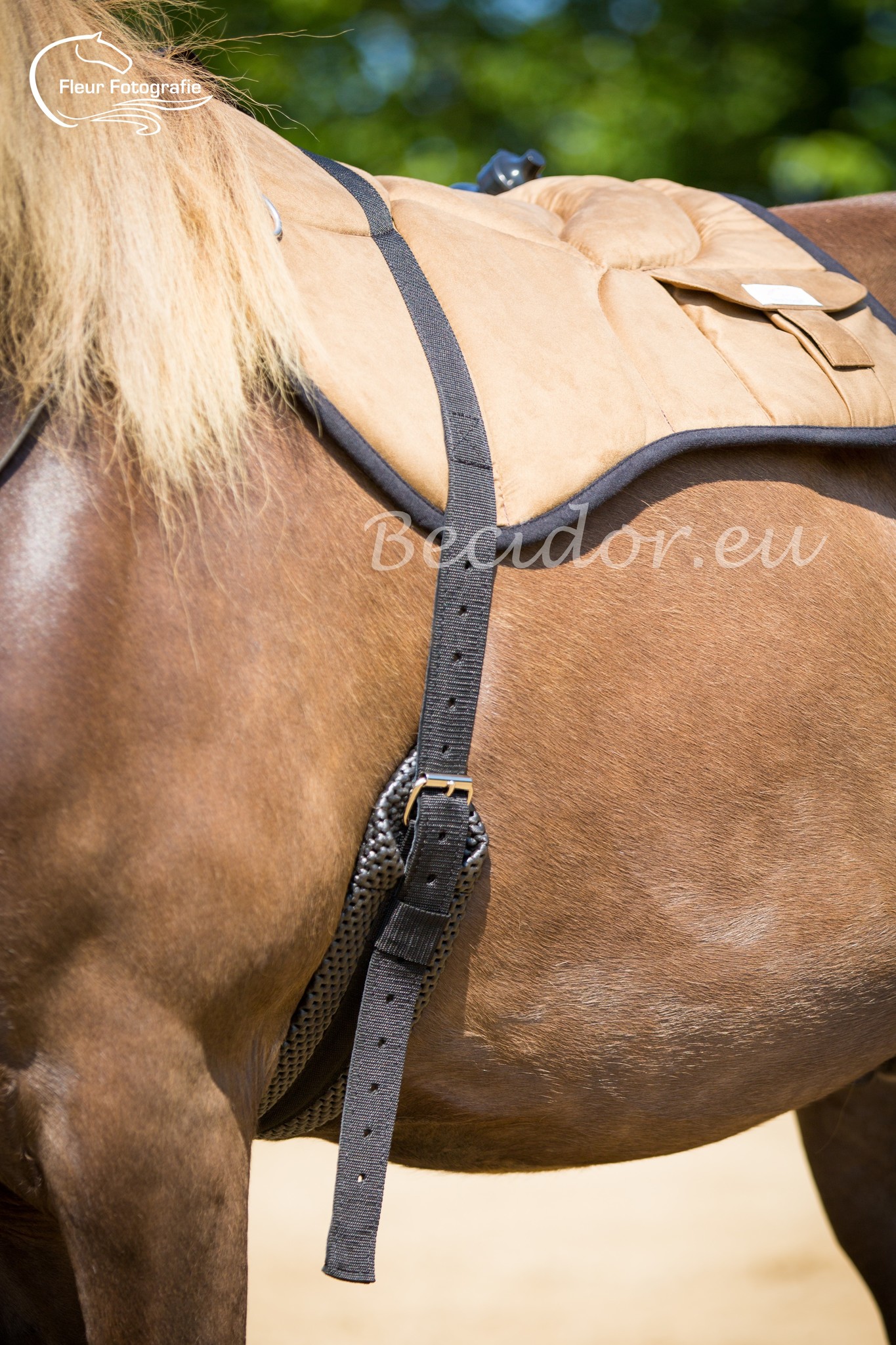 Reitpad Western mit Flasche