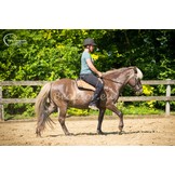 Barebackpad Trail met bidon