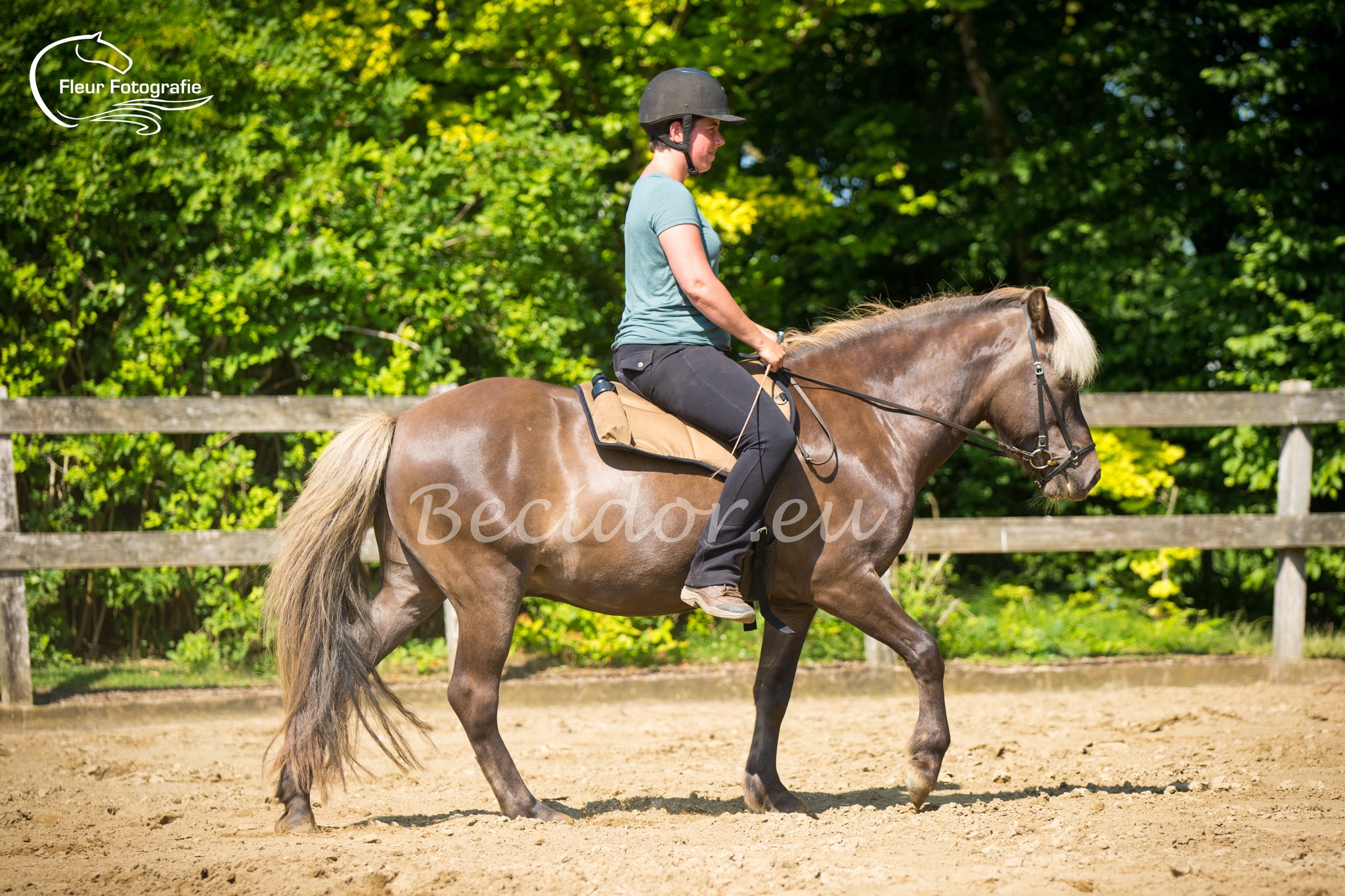 Bareback pad Trail with bottle