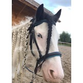 Dietsji jaw-crossed bitless bridle including reins