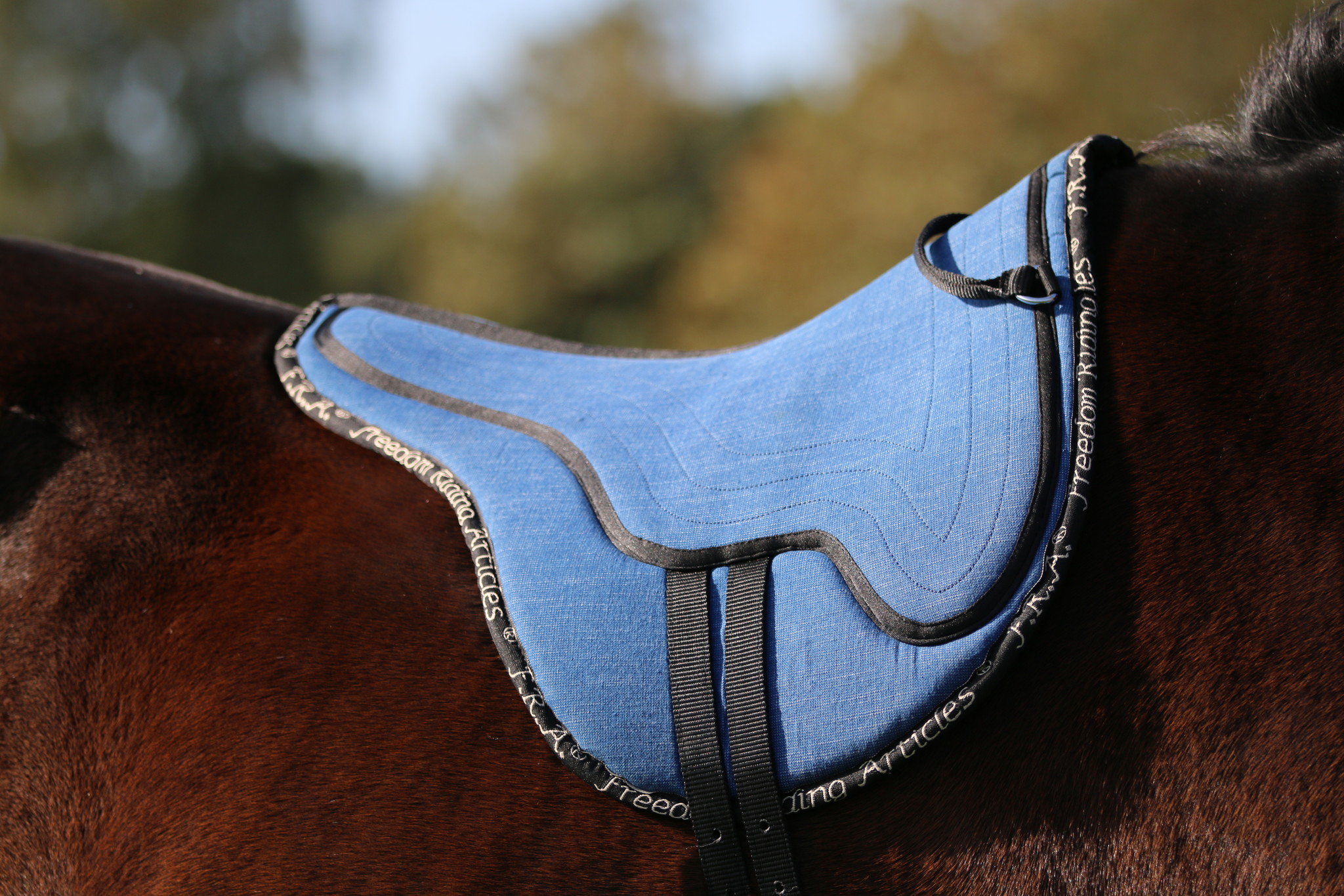 Jeany Bareback Pad mit Griff