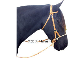Larusha sidepull bitless bridle