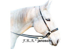 Janosch kingekruist bitlooshoofdstel