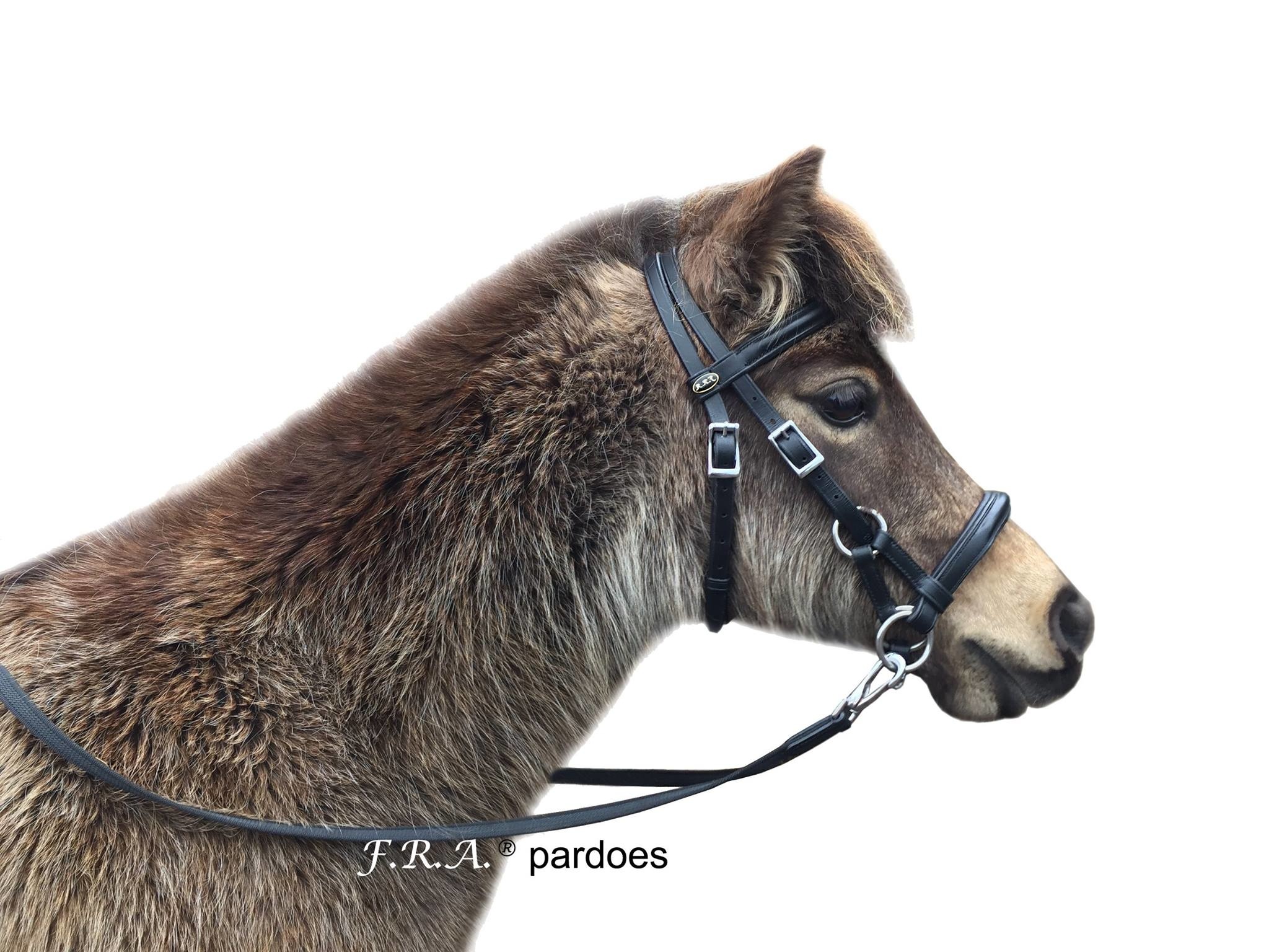 Pardoes sidepull bitless bridle leather