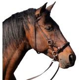 Pardoes sidepull bitless bridle leather