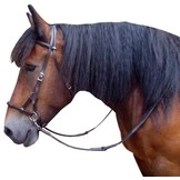 Pardoes Sidepull bitless Zaumleder