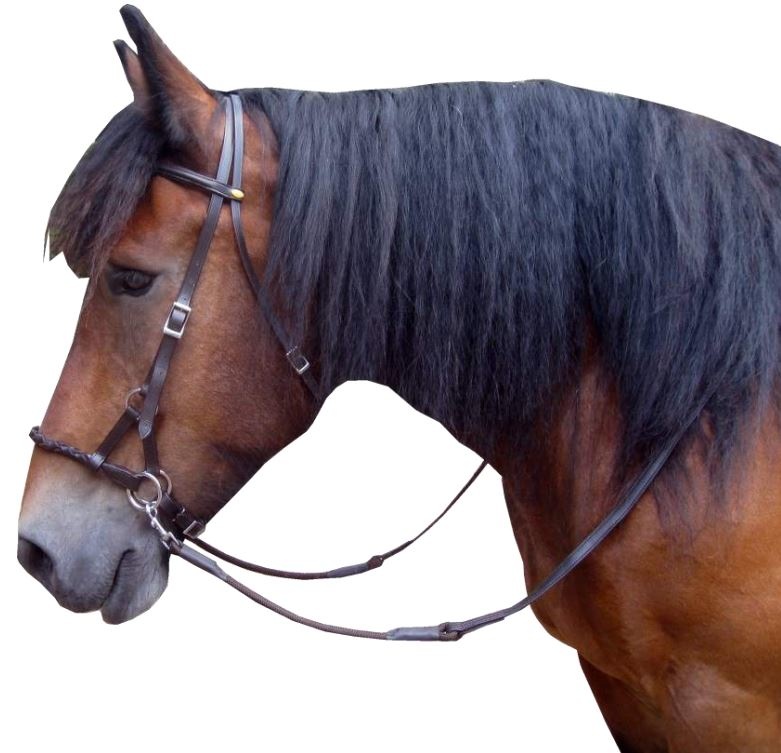 Pardoes sidepull bitless bridle leather