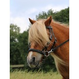 Pardoes sidepull bitless bridle leather