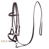 Pardoes Sidepull bitless Zaumleder