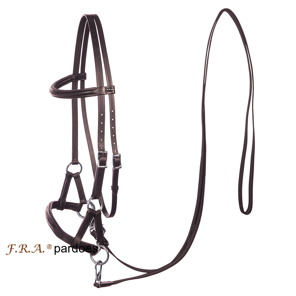 Pardoes sidepull bitless bridle leather