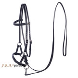 Pardoes sidepull bitless bridle leather