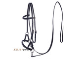 Pardoes sidepull bitless bridle