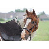 Pardoes sidepull bitless bridle leather