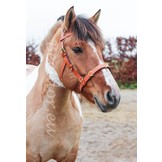 Viena leather cavesson