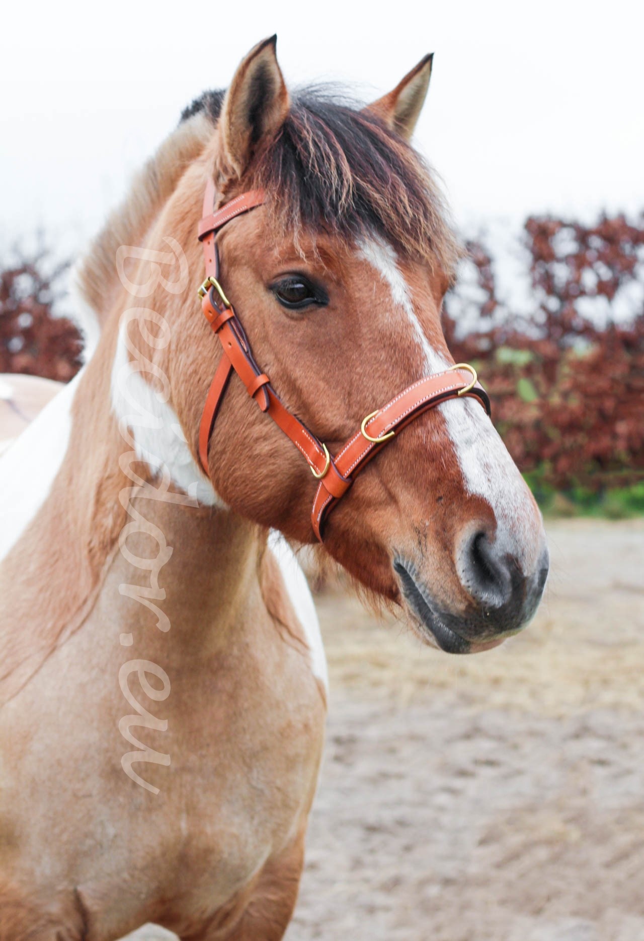 Viena leder Kappzaum