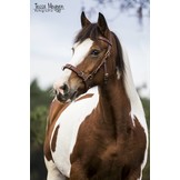 Viena leder Kappzaum