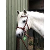 Viena fine lederen kaptoom