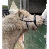 Viena fine leather cavesson baroque