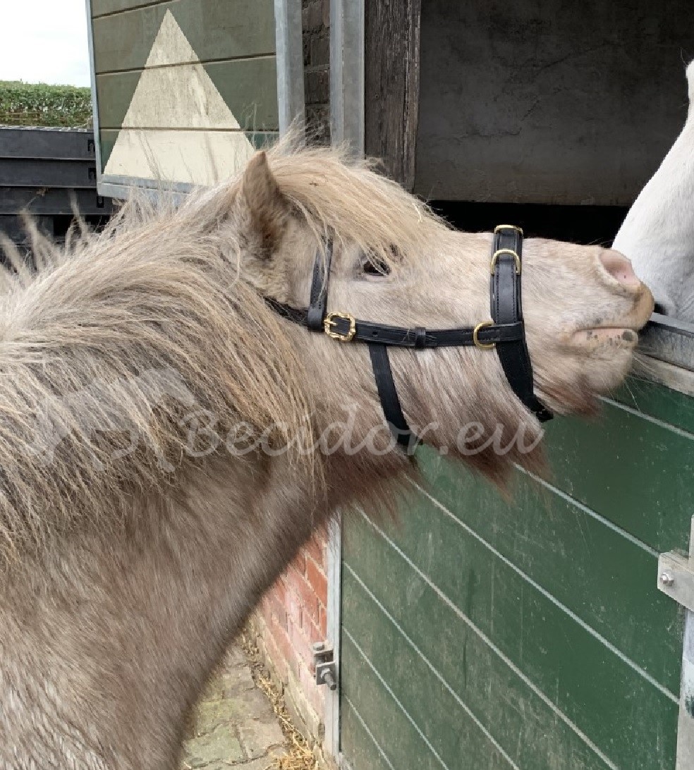 Viena fine leder Kappzaum Barock